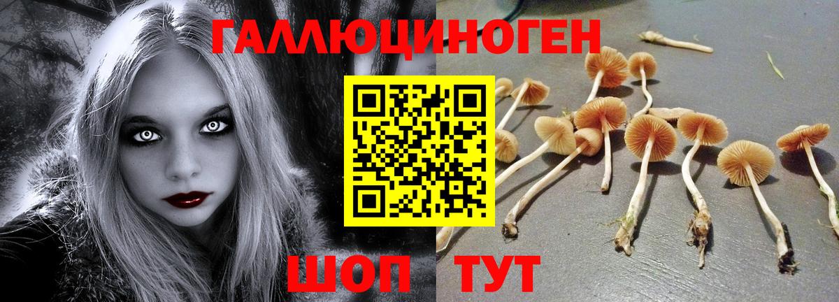 Галлюциногенные грибы MAGIC MUSHROOMS  Псилоцибиновые грибы GOLDEN TEACHER  Вход с VPN  Вичуга 